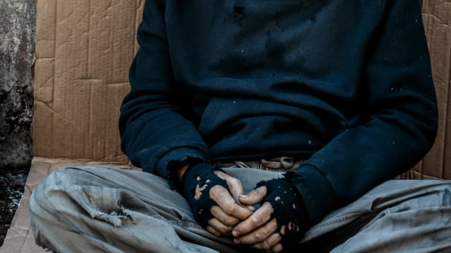 Бездомните в София са по-малко от други европейски градове