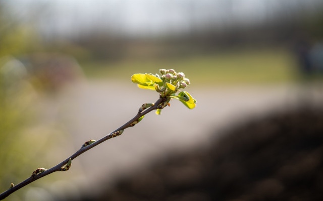 Слънчева събота, от 11 до 17 градуса в страната