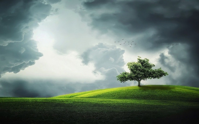 Облачно със слабдъжд, над плланините ще бръска сняг