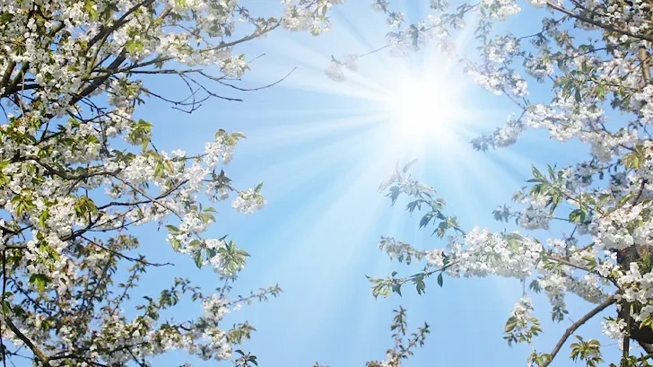 Термометрите скачат до 20 градуса