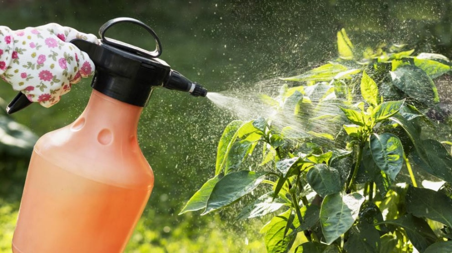 Пестицидите могат да повишат риска от рак