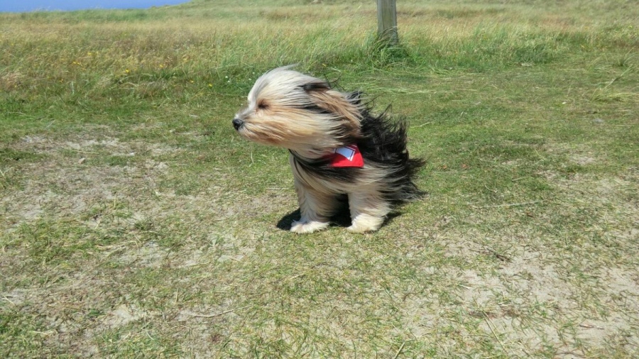 Времето във вторник: Жълт код за силен вятър в 6 области, валежи и гръмотевици в Родопите