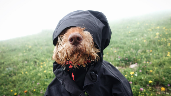 Времето в четвъртък: Дъжд, вятър и сняг в планините