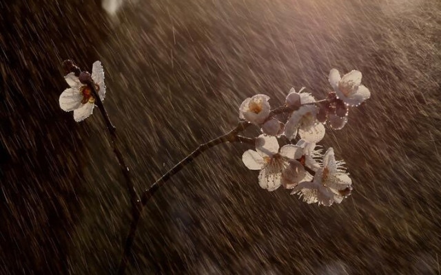 Обрат с времето - дъжд днес, от Великден се затопля, но ще вали