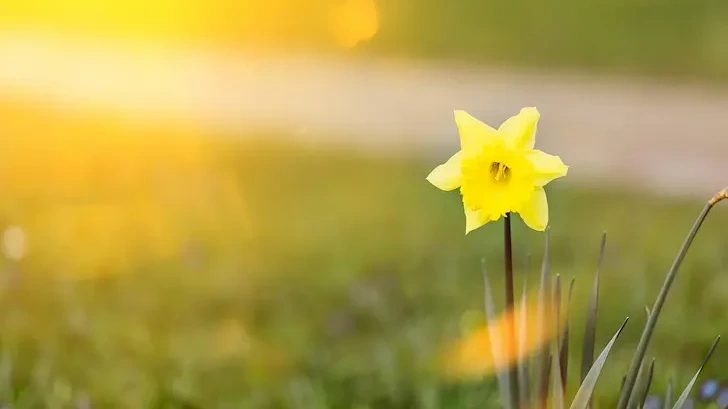 Температурите у нас скачат до 21 градуса