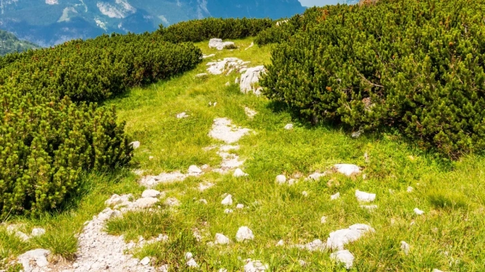 В планините времето е облачно, тихо и с положителни температури