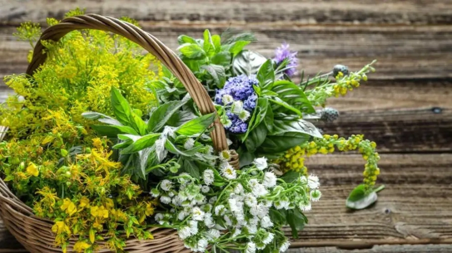 Билките и подправките се борят с възпалителни процеси в организма