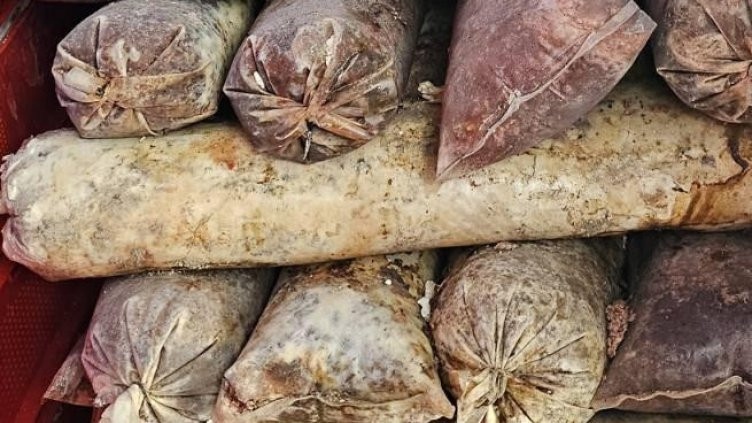 БАБХ затвори кланица в Радиново, хигиена нулева