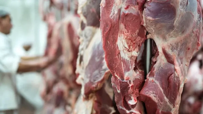 МВР: Зараза с антракс плъзна към Разградско