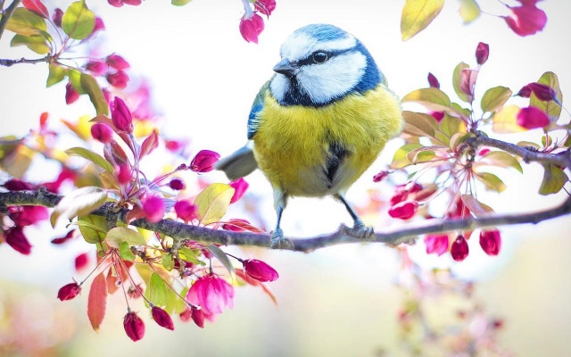Облаци и валежи на югозапад, повече слънце на изток