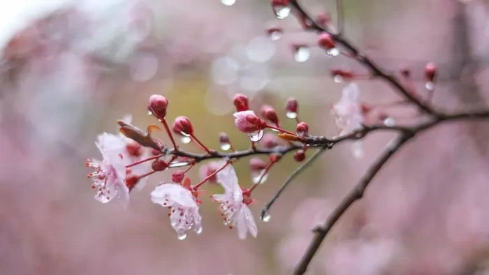 Студен фронт сваля температурите под 6 градуса