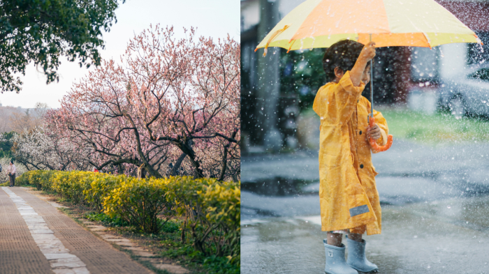 Времето през май: Валежи, застудяване и до 35 градуса в края на месеца