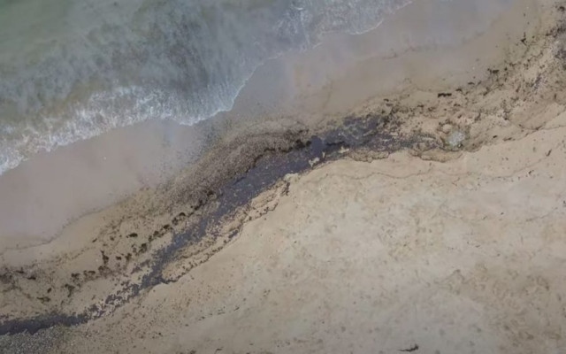 Мазут на варненски плаж, Басейновата дирекция се самосезира