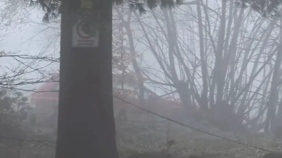 Петрохан: В двора на хижата има кола със счупени стъкла