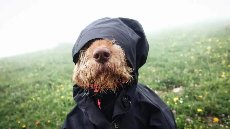 Днес ще е топло, с валежи, на места и градушки