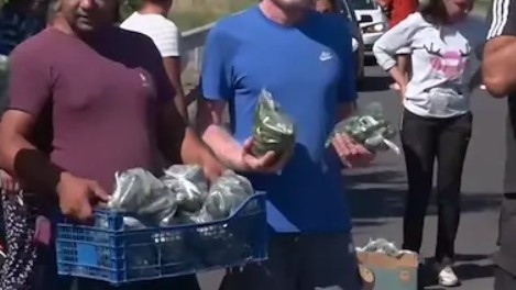 Земеделци край Хасково изхвърлят реколтата си заради евтин внос