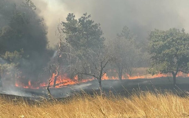Голям пожар в бургаско село, огънят е близо до къщи