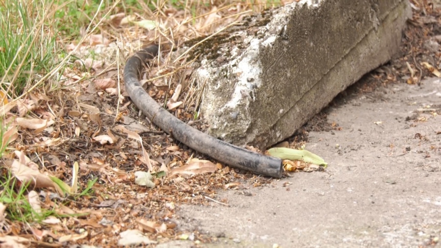 Residents of the village of Pavolche continue to suffer from a serious environmental problem | Integri News