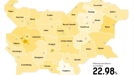 Избирателната активност на първия тур на президентските избори е 22,98%